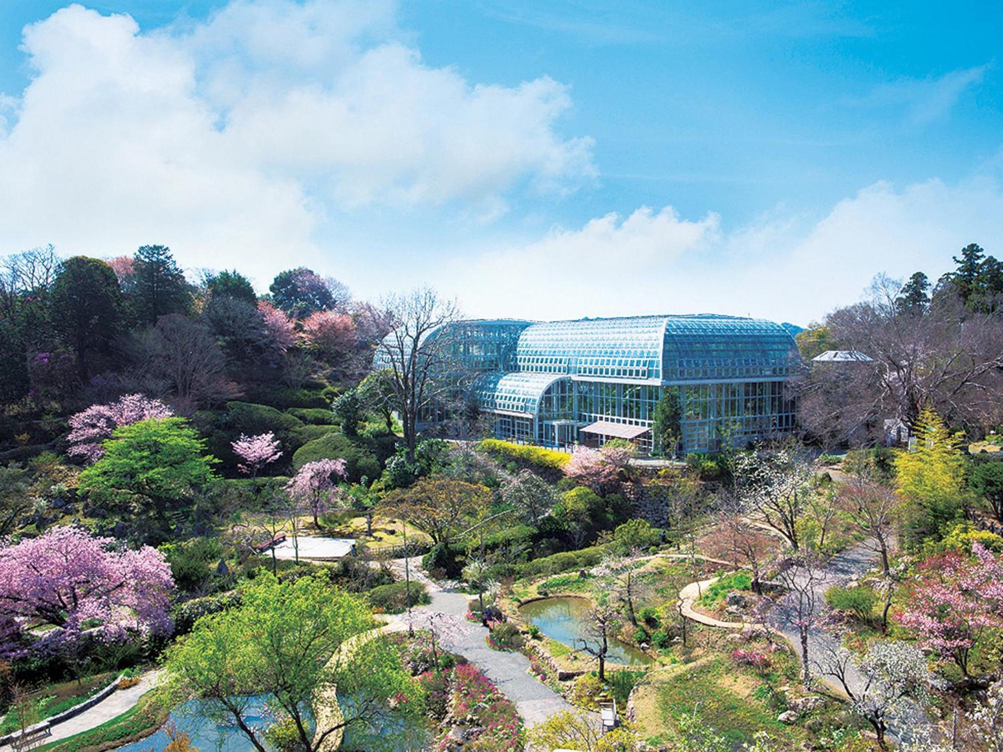 The Crown Palais New Hankyu Kochi Exterior photo